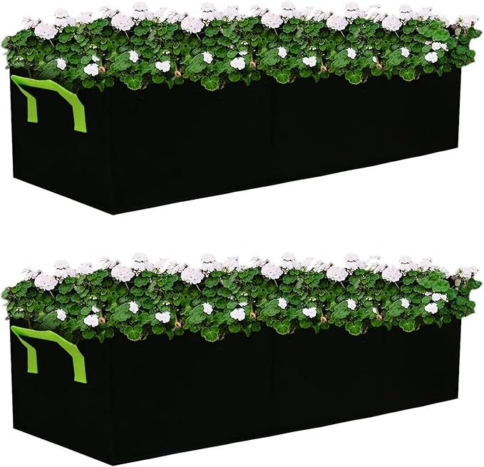 Plant Grow Bags, 2 Pack Fabric Raised Planting Bads, 3 Holes Rectangle Grow Bag, 38 Gallon Breathable Potato Tomato Planter Pots for Outdoor Vegetables Plant Flowers (Black)
