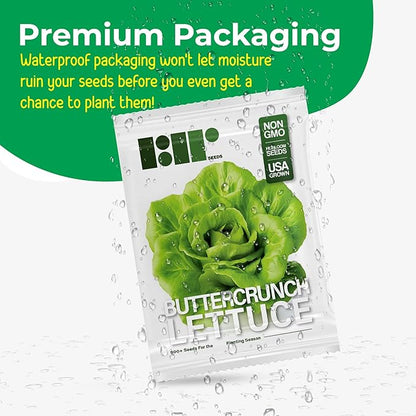Lettuce Seeds for Planting Variety Pack - 5 Types of Lettuce - Buttercrunch, Parris Island Cos, Oakleaf, Little Gem, and Iceberg