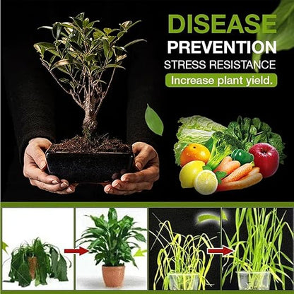 Yegbong Soil Activator, Soil Pro Activator, Nauticos SoilActivator, Organic, Water-Soluble Formula for Optimal Nutrient Uptake & Root Development, Enhance Growth for Vegetables & All Plants (2)