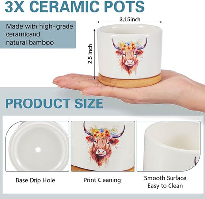 3 Pcs Decor Gift for Women Planter Ceramic Gift Animal Plant Pot with Bamboo Tray for Office Home Farm House Bathroom Kitchen Christmas Decorations (No Plants Included) (Highland Cow)