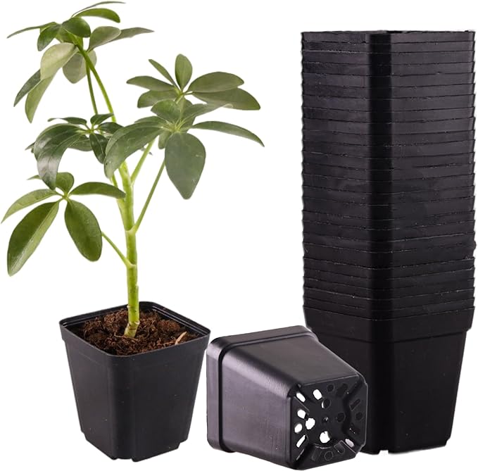 50 Packs Square Nursery Pots for Plants 2.8 Inch Succulent Plant Pots Set Plastic Seedling Starting Pots with Drainage Holes Nursery Pots Variety Pack Flower pots Planter Seed Starter, Black