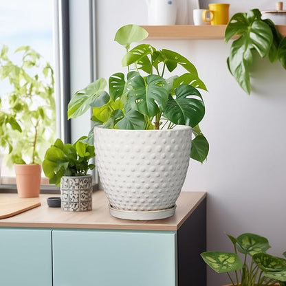 G EPGardening 8 Inch Plant Pot for Indoor Outdoor Plants Round Ceramic Planter Pot with Drainage Hole and Saucer Modern Large Flower Pot White