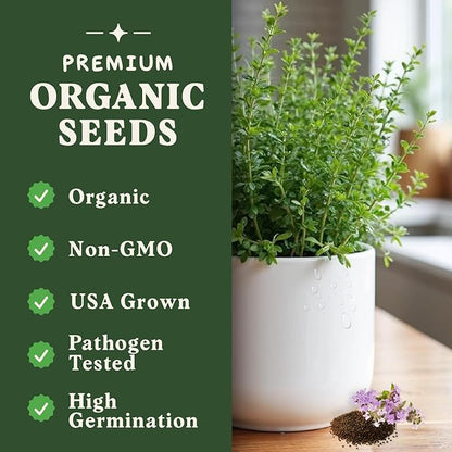 Seedboy Organic Thyme Seeds for Planting Indoor and Outdoor, Non-GMO and USDA Certified Herb Seed Packet for Hydroponic Garden Indoor or Planting Outdoors (Thyme)