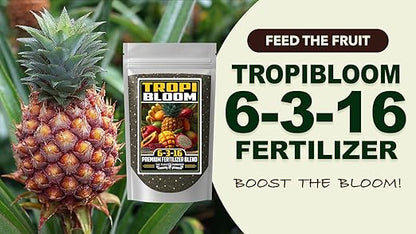 Fertilizer Commercial Grade | TropiBloom 6-3-16 | 1 Pound | Custom Professional Mix Blend | High-Potassium | Tropical Fruit Trees | Micronutrients with Chelated Iron | Support Yield Flavor Structure
