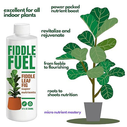 Fiddle Fuel – The Ultimate Fiddle Leaf Fig Premium Plant Fertilizer Liquid Nutrients Super Easy to Use for Fig Trees and Plants (Ficus Lyrata) – 8 oz