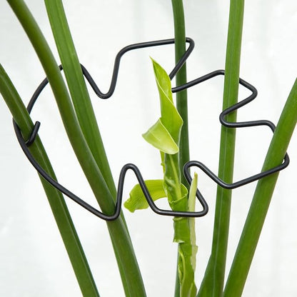 Monstera Plant Stem Support Set of 5 - Durable Stabilizers for Monstera and Climbing Plants - Ideal for Plant Lovers and Garden Care