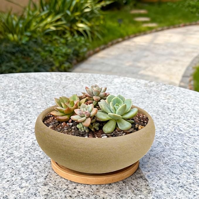 MUZHI Round Unglazed Ceramic Bonsai Pot with Bamboo Tray, Large Rough Pottery Succulent Planter with Drainage Hole 6.5 inch … (6.5")