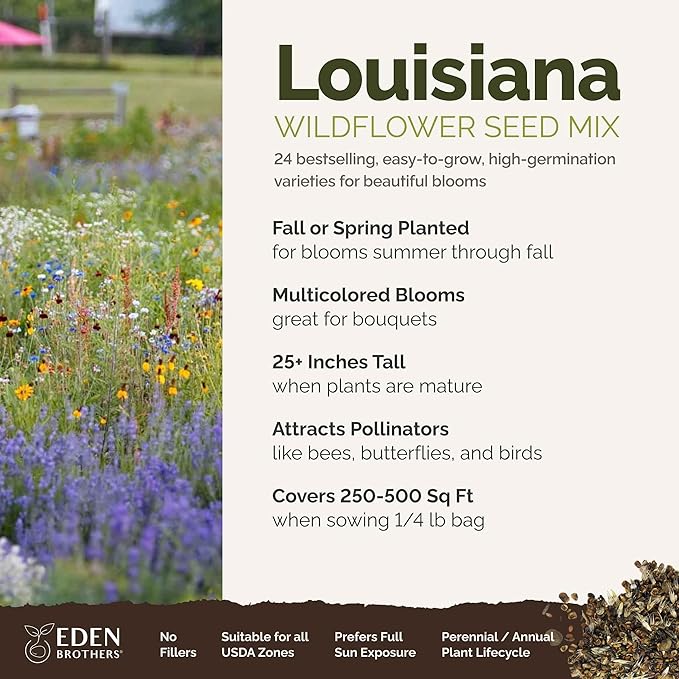 Eden Brothers Louisiana Wildflower Mixed Seeds for Planting, 1/4 lb, 120,000+ Seeds with Lupine, African Daisy | Attracts Pollinators, Plant in Spring or Fall, Zones