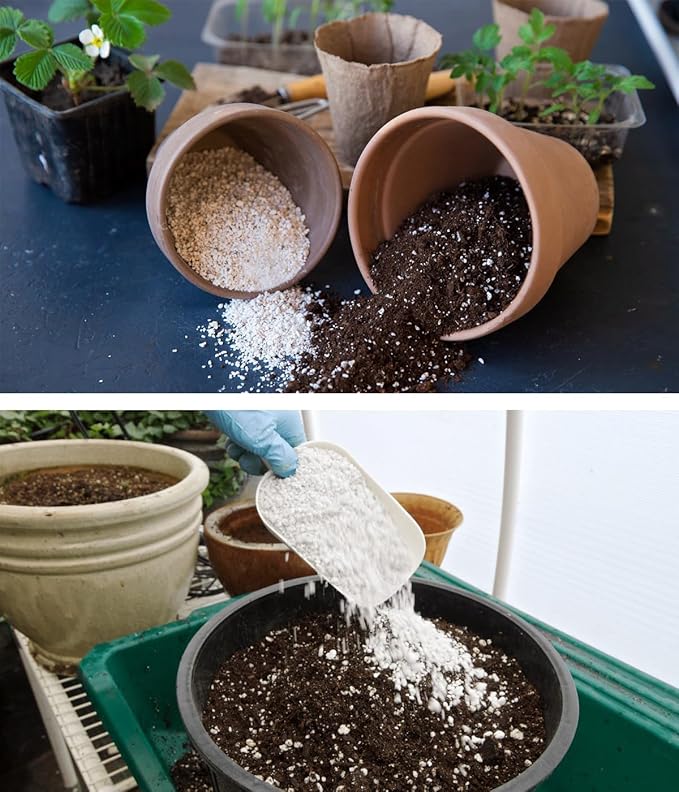 Organic Perlite for Plants, Horticultural Perlite Bulk, Soil Amendment for Enhanced Drainage and Plant Root Growth, Ideal for Potting Mixes (2 Quart)