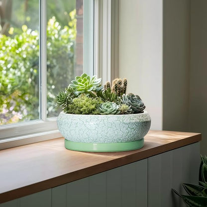 Bonsai Pots - 13 Inch Ceramic Succulent Pots for Indoor Outdoor, Large Shallow Planter with Drainage Hole and Saucer, Round Flower Succulent Planter, Patio Decor, Gifts for Women, Green