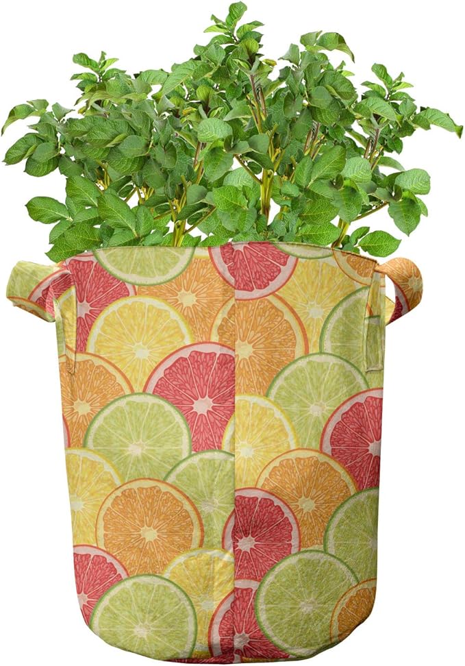 Ambesonne Colorful Grow Bags 5-Pack, Orange Lemon Fruits, Heavyduty Fabric Pots with Handles for Plants, Magenta Orange