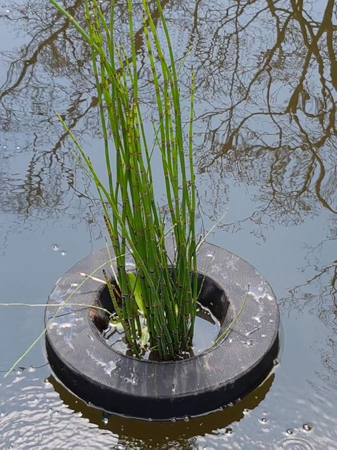 PondH2o 14" Round Floating Aquatic Water Garden Pond Planter Baskets, Floatable Aquatic Plant Flower Islands for Ponds, Aquaponics, Hydroponics and Water Features | Value 2 Pack
