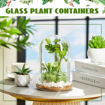 2 Pcs 5.9 x 7.9 Inch Glass Terrarium Clear Terrarium Planter Container Glass Dome Cloche with Airhole and Base for Plant Flower Home Tabletop Display Centerpiece, Plants Not Included
