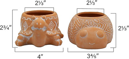 Cotta Planters Turtle Lady Bug Terracotta Animal Succulent Planter, Home Decor, 2-Pack Smaller Planter Set