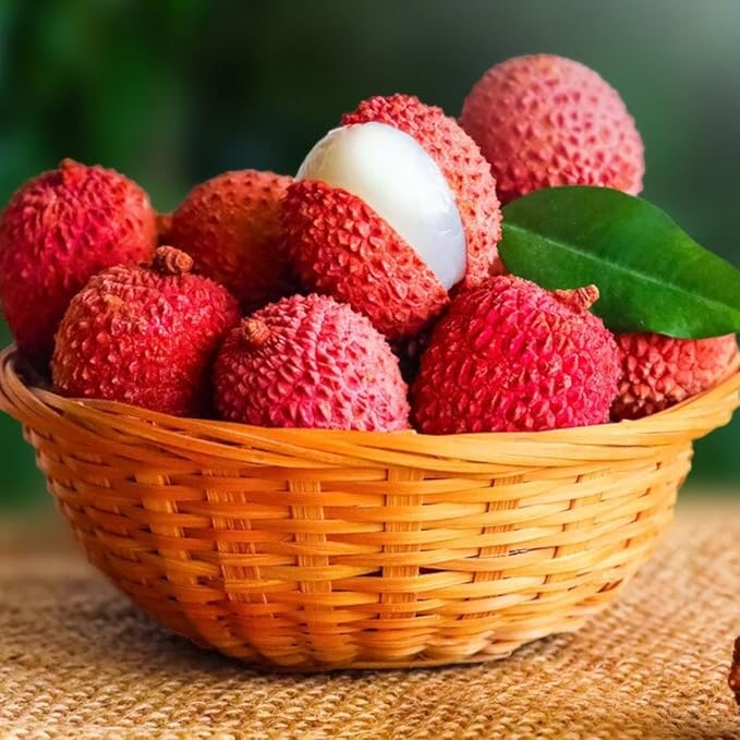 20 Giant Lychee Seeds Exotic Fruit Heirloom Sweet Tropical Fruit Litchi Chinensis Seed