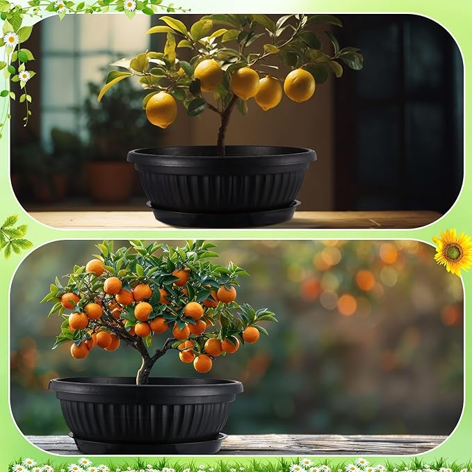 5 Sets Plant Pots 13 Inches Jumbo Plastic Flowers Garden Bowl Planter with Plant Saucers Large Black Wide Shallow Plant Pots with Drainage Holes Planter Bowl for Indoor Outdoor Flowers Herbs