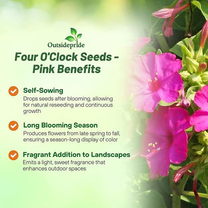 Outsidepride Pink Four O'clock Flower Seeds - 1 lb Perennial Fragrant, Trumpet-Shaped Blooms, Deer-Proof & Easy to Grow, for Pollinator & Evening Gardens, Containers, Hedges, or Borders
