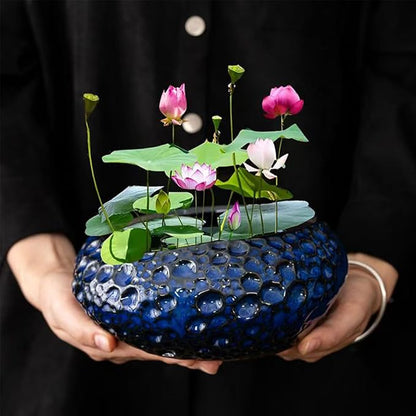 Lotus Bowl Planter, Decorative Ceramic Plant Pots with Moisture-Multifunctional Design, Succulents Orchids Indoor Plants, Thickened Round Planter for Home Desk & Shelf Decor (Blue Planet)