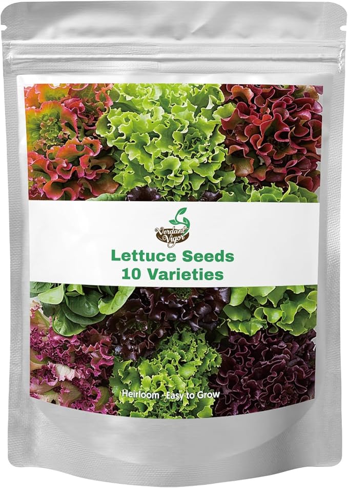 20,000+ Lettuce Seeds, Heirloom Winter Vegetable Seed for Planting Indoor Outdoor, 10 Varieties of Fresh Salad Greens for Hydroponics Kit, Easy to Grow for Garden Beginners, Non-GMO