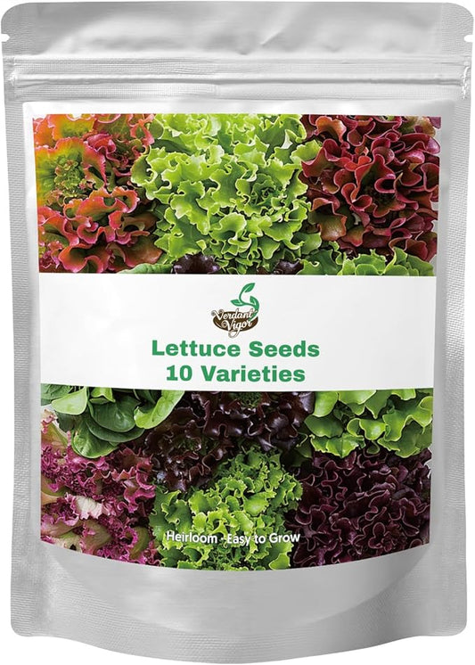 20,000+ Lettuce Seeds, Heirloom Winter Vegetable Seed for Planting Indoor Outdoor, 10 Varieties of Fresh Salad Greens for Hydroponics Kit, Easy to Grow for Garden Beginners, Non-GMO