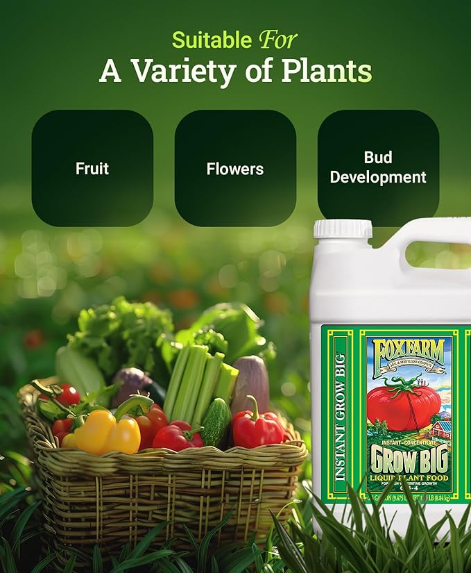 FoxFarm Grow Big Liquid Plant Food - 6-4-4 House Plant Fertilizer for Lush Vegetative Growth, Fast Nutrient Uptake for Roses, Tomatoes & Veggies - 2.5 Gallon Size Concentrate