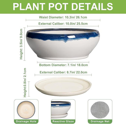 SQOWL Bonsai Pots - 10 Inch Ceramic Pots for Succulents Indoor Outdoor, Shallow Planter with Drainage Hole and Saucer, Round Succulent Planters Bowl, Kitchen Decor, Housewarming Gifts, Blue-Beige