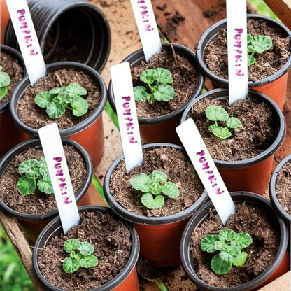 TDHDIKE Plastic Planter Nursery Pots 4" Small (50pcs) Seedlings Flower Pots Container Seed Starting Pots for Plants Come with 50pcs Labels