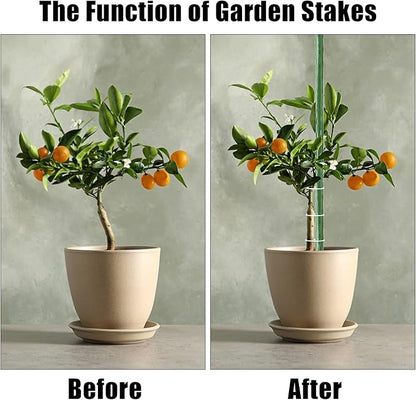FEED GARDEN Garden Stakes 30 Inch 2.5ft 25 Pack,Sturdy Plant Metal Sticks Support,Plastic Coated Plant Stakes,Tomato Stakes,Beans,Trees