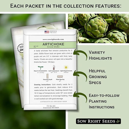 Sow Right Seeds - Perennial Vegetable Seed Collection for Planting - Artichoke, Rhubarb, and Asparagus - Tasty and Nutritious Favorites for Outdoor Garden - Non-GMO Heirloom Packets with Instructions