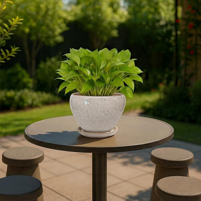 Deep Dream 6 Inch Plant Pots- Ceramic Planter Pot with Drainage Hole and Saucer, Round Flower Pot for Indoor Outdoor Succulent, Snake Plants and Cactus, Beige