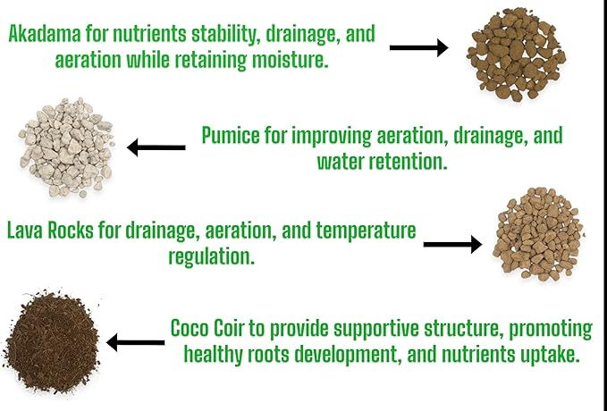 Premium Bonsai Soil Mix with Akadama, Pumice, Lava Rocks, Coco Coir, Fast Draining, Organic, 2 Quart