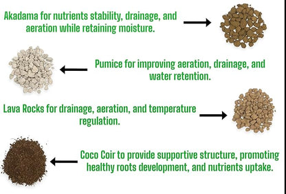 Premium Bonsai Soil Mix with Akadama, Pumice, Lava Rocks, Coco Coir, Fast Draining, Organic, 2 Quart