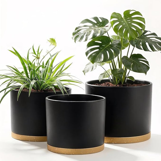 (3 Pack) 10 Inch Plant Pot with Drainage and Saucers, 10/9/8 Inch Plastic Plant Pots for Indoor Plants, Modern Round Planter Set for Flowers, Herbs, Garden Decor (Black-Brown)