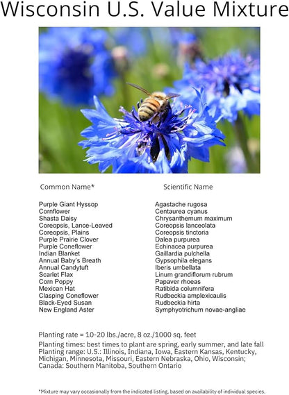 Wisconsin Bulk Perennial Wildflower Seed Mix 1lb Covers 2,000sq-ft - Attract Pollinators, Multi-Color Blooms - Midwest US Species Plant in Spring/Fall - Earth-Friendly Packaging (1/2 Pound)