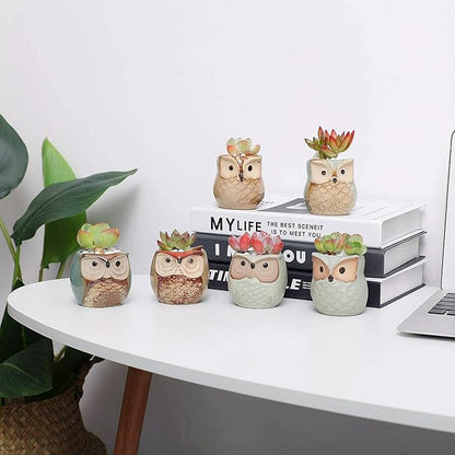 T4U 2.5 Inch Owl Ceramic Succulent Planter Pots with Drainage Hole Set of 12, Mini Cactus Pots Tiny Cute Plant Holder Container Best for Home Office Decor Gardening Gift