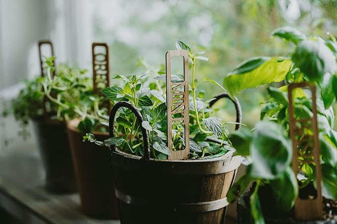 Bamboo Plant Labels | Laser Cut 6" x 1" Weatherproof Plant Markers, Outdoor Plant Markers, Herb Garden Signs
