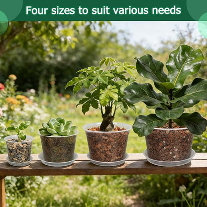 Clear Nursery Pots with Drainage and Saucers, 24 Pack 4/6/8/10 Inch Clear Pots for Plants, Plastic Plant Pots for Indoor Outdoor Flower Seed Starting Pots (4/6/8/10 Inch×6pcs)
