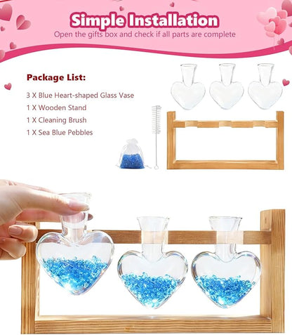 Nacome Plant Terrarium Propagation Stations: Birthday Gifts for Plant Lovers Women Mom Wife Daughter - 3 Bulb Glass Vase with Wooden Stand Tabletop for Hydroponics Home Garden Wall Decor
