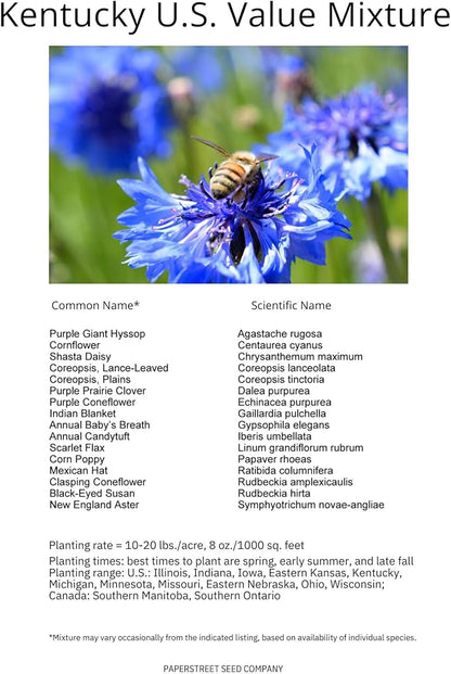 Kentucky Bulk Perennial Wildflower Seed Mix 1lb Covers 2,000sq-ft - Attract Pollinators, Multi-Color Blooms - Midwest US Species Plant in Spring/Fall - Earth-Friendly Packaging (1/4 Pound)