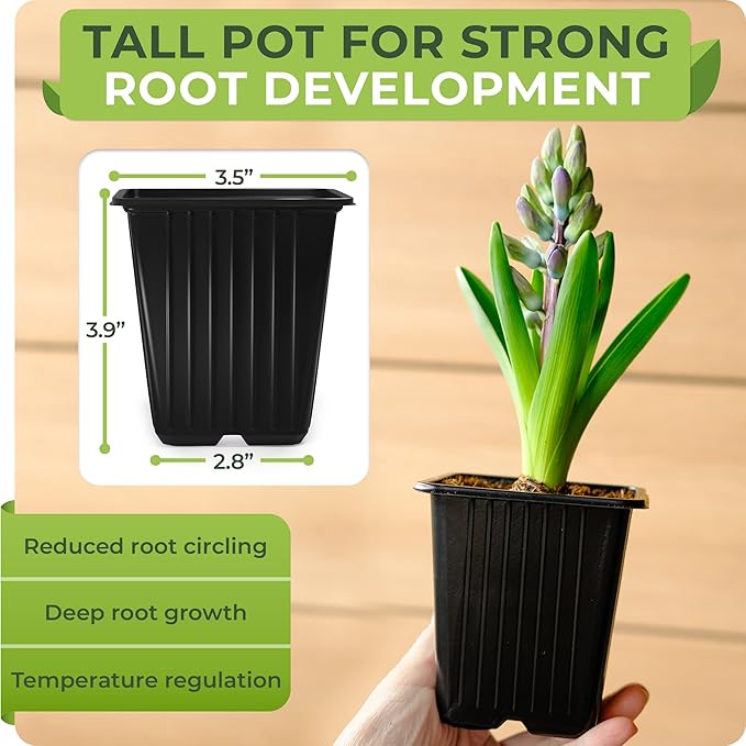CARPATHEN 60Pack Square Nursery Pots - 3.5 Inch Seedling Plant Pot with Drainage Holes - Reusable Seed Starter Pots for Flowers, Vegetables, Greens - Includes 10 Plastic Reusable Tags