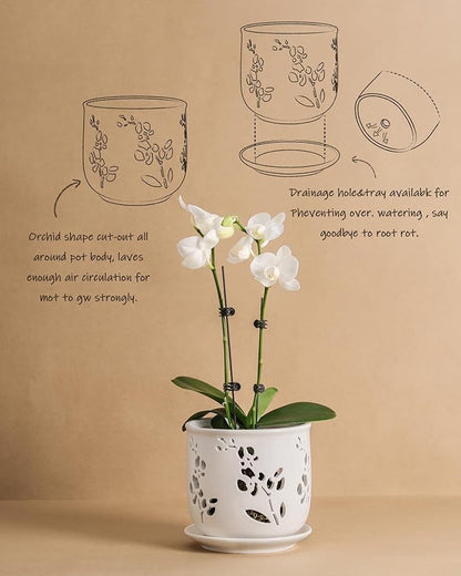 Orchid Pot, 6.5 inch Large Orchid Pots with Holes for Healthy Growth and Easy Repotting, Premium Ceramic Orchid Planter for Indoor and Outdoor Use, (Note : Plant Not Included)
