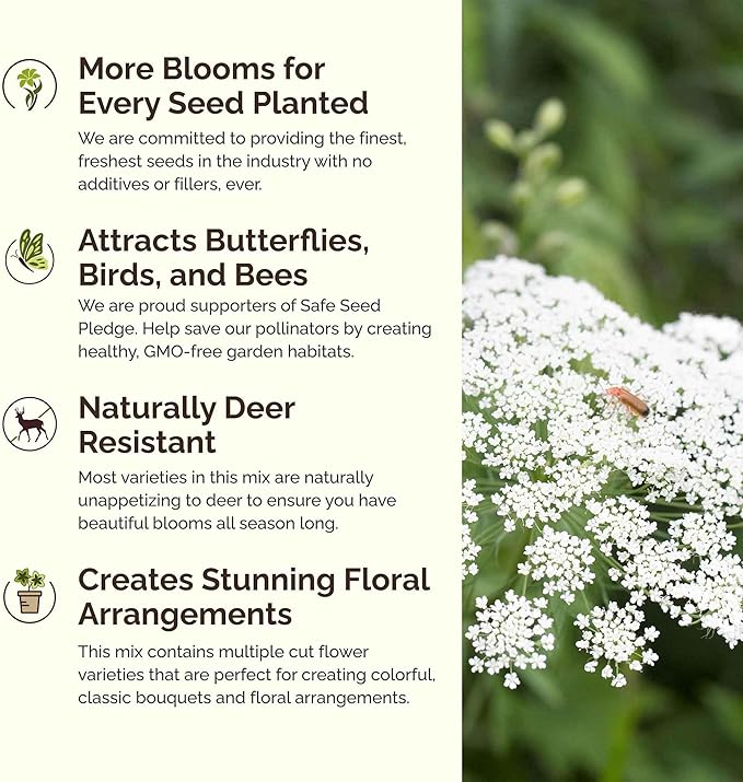 Eden Brothers Moon Garden Flower Mixed Seeds for Planting, 1 lb, 480,000+ Seeds with Cosmos Purity, Bishop's Flower | Attracts Pollinators, Plant in Spring or Fall, Zones 3, 4, 5, 6, 7, 8, 9, 10