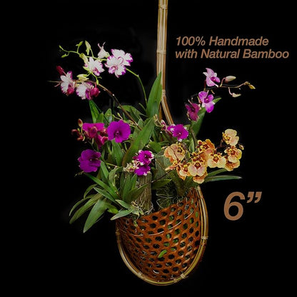 Handmade 100% Thai Bamboo Super Sanctuary Hanging Orchid Basket - 6 Inch Set of 2