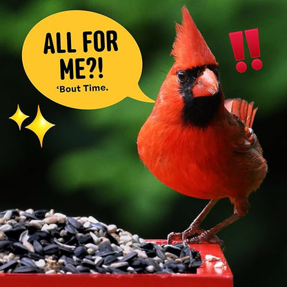 Cardinal & Crew Wild Bird Seed – 10 lb. Black Oil Sunflower, Sunflower Hearts & Safflower Blend for Cardinals, Grosbeaks & Chickadees – Bird Food for Outside Feeders