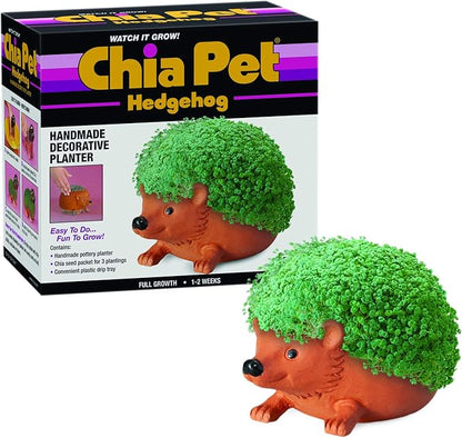 Chia Pet Hedgehog with Seed Pack, Decorative Pottery Planter, Easy to Do and Fun to Grow, Novelty Gift, Perfect for Any Occasion, Terra Cotta