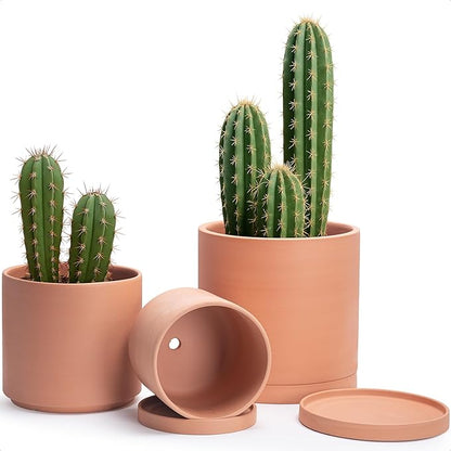 D'vine Dev Terracotta Pots for Plants, 8.3 Inch 10 Inch 12 Inch, Round Cylinder Planter Pot with Drainage and Saucer, 40-T-D-0