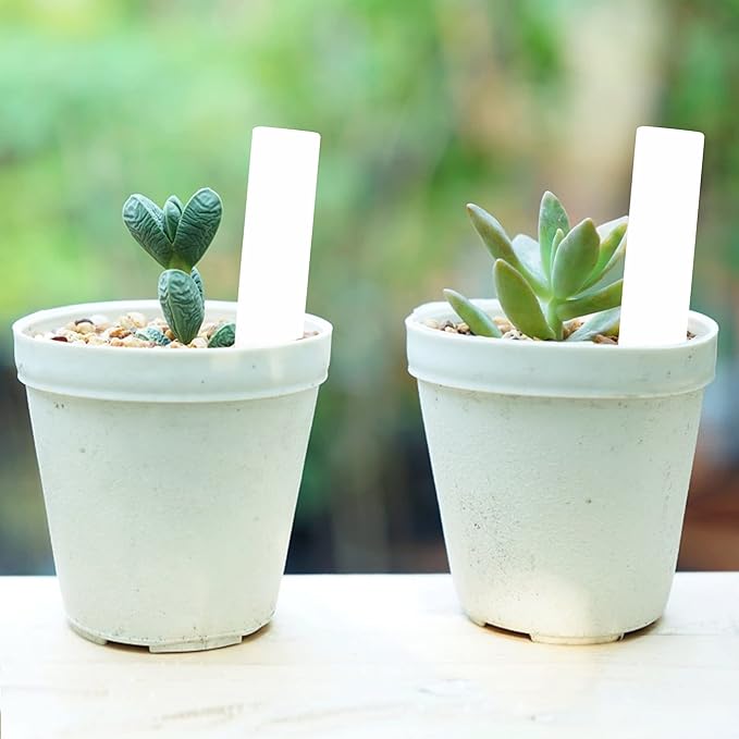 Mr. Pen- Plastic Plant Labels, 100 Pcs, 4“, White, Plant Markers and Labels for Outdoor Garden Waterproof, Plant Name Tags, Planting Sticks for Seeds