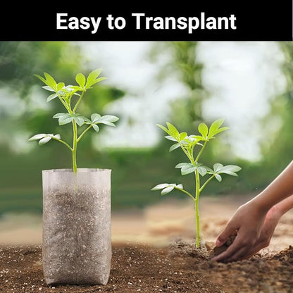 Seedling Grow Bags for Plants Bulk, 6x8 inches Sturdy Non-Woven Nursery Bags, 100PCS Solid Plant Grow Seed Starter Bag, Fabric Seedling Pots Pouches Planting Home Garden Supply