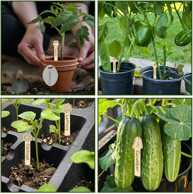 arricraft 15 Pcs Vegetable Theme Wooden Plant Tags, Vertical Strips Shape Waterproof Garden Stake Plant Marker for Indoor Outdoor Potted Nursery Marker Decoration Accessories 6x1 inch