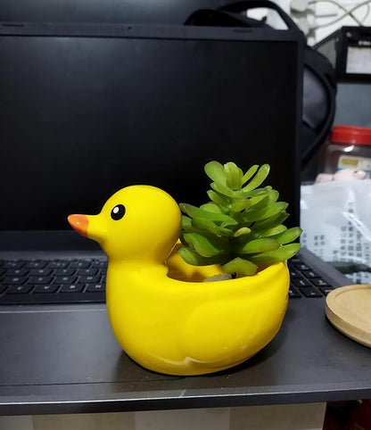 Cute Indoor Cartoon Animal Duck Shaped Ceramic Succulent Cactus Flower Plant Pots Planter with Drainage Hole - Plant Not Included (Medium)